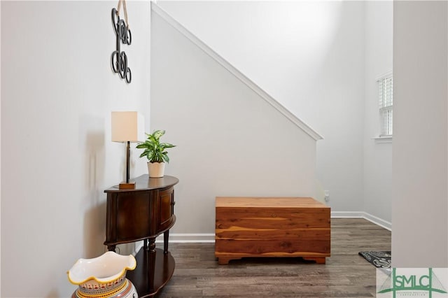 interior space featuring baseboards and wood finished floors