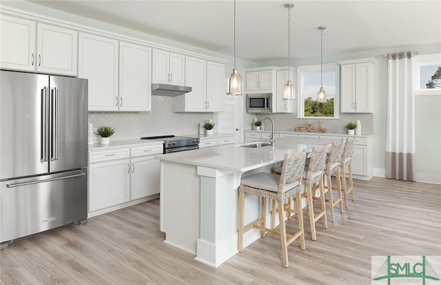 kitchen with light wood-type flooring, under cabinet range hood, appliances with stainless steel finishes, and a sink