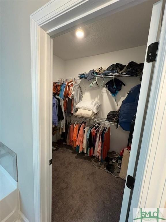 119 Sams Dr, Guyton, GA 31312 - spacious closet with carpet floors