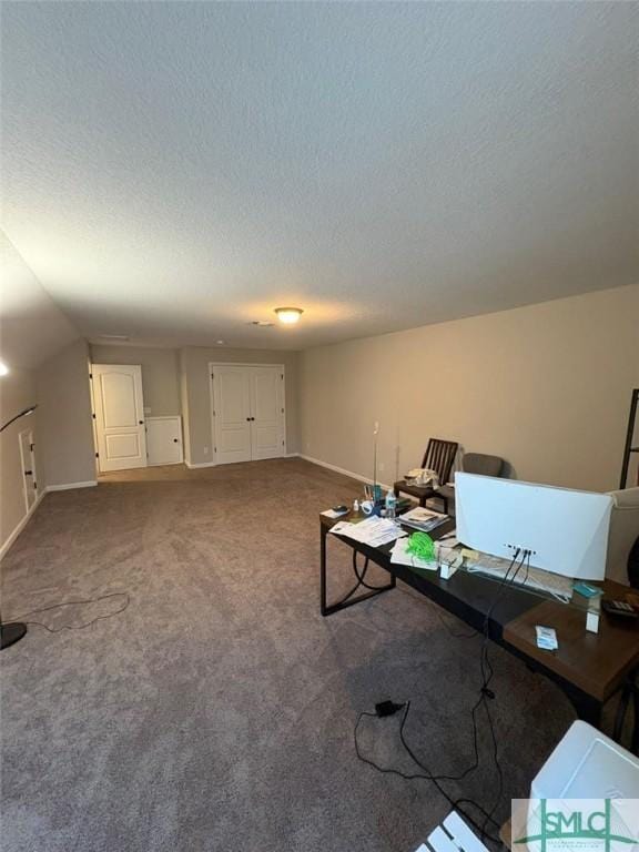 119 Sams Dr, Guyton, GA 31312 - unfurnished office featuring carpet floors, a textured ceiling, and baseboards