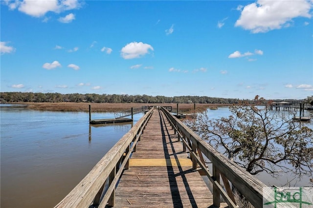 view of dock with a water view