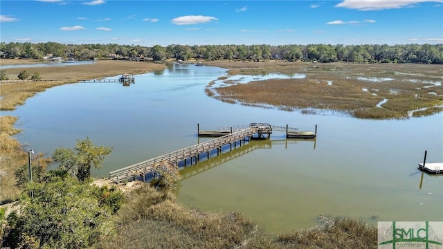 dock area featuring a water view