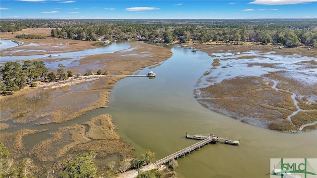 aerial view with a water view and a view of trees