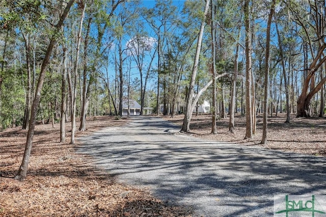 view of road featuring aphalt driveway