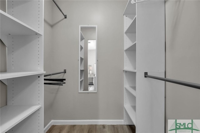 walk in closet featuring wood finished floors