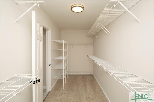 spacious closet with light colored carpet