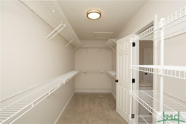 spacious closet featuring carpet and attic access