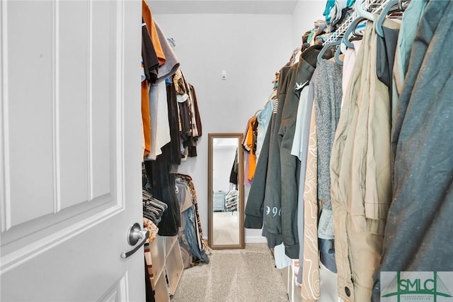 spacious closet featuring carpet floors