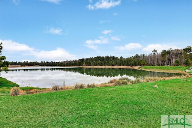 property view of water