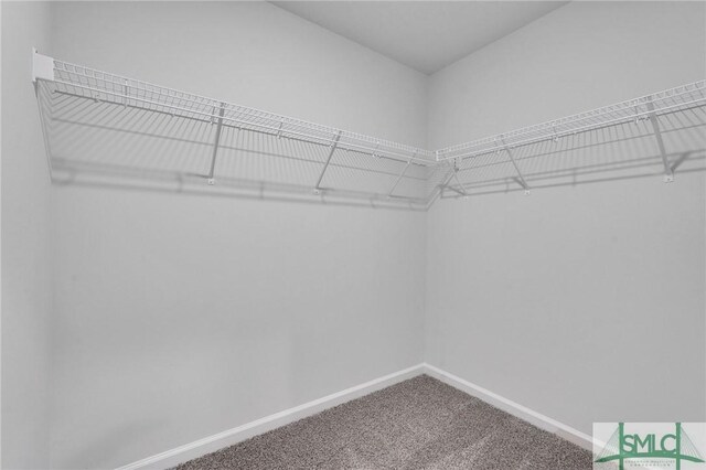 176 Orkney Rd, Savannah, GA 31407 - walk in closet featuring carpet flooring