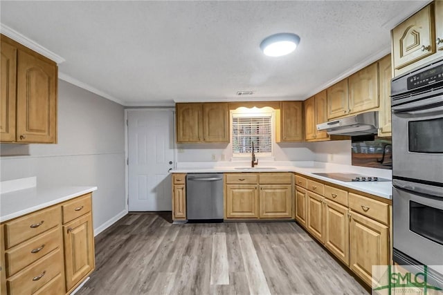 kitchen with under cabinet range hood, a sink, light countertops, appliances with stainless steel finishes, and light wood finished floors