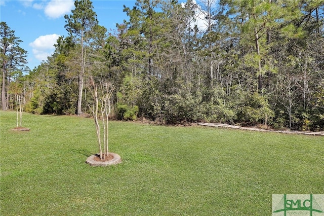 80 Rimmon Ct, Richmond Hill, GA 31324 - view of yard