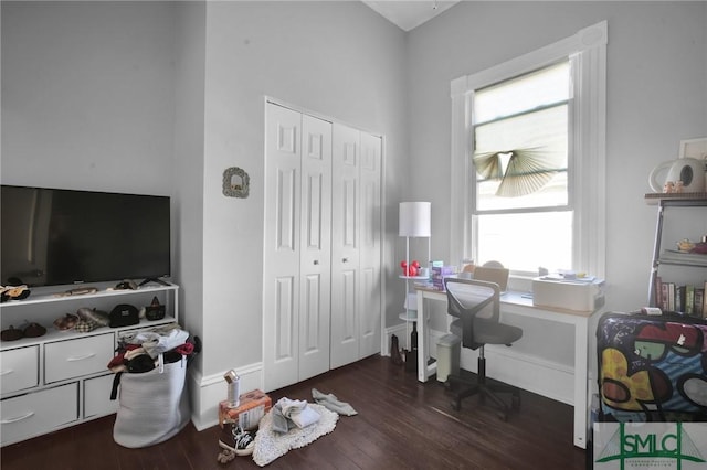 office featuring wood finished floors