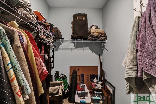 view of spacious closet