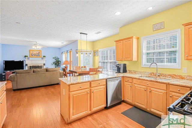 kitchen featuring a peninsula, light wood finished floors, appliances with stainless steel finishes, and a sink