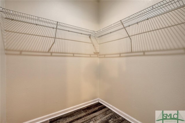 walk in closet with dark wood-type flooring