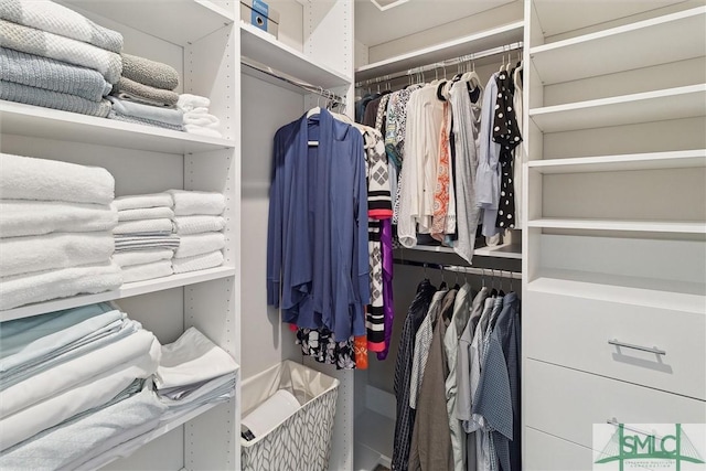 view of walk in closet