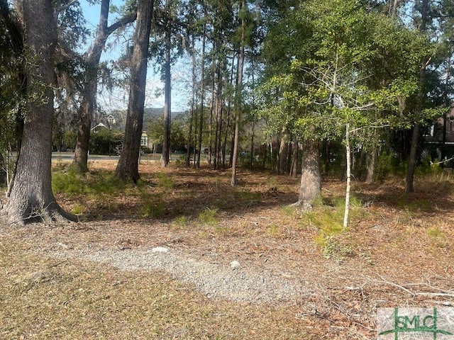 2 Hickory Ct, Pooler GA, 31322 land for sale