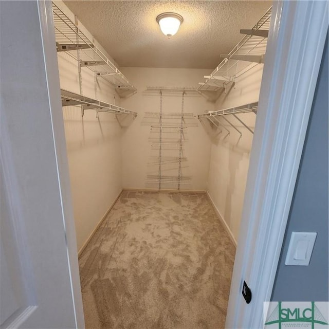 walk in closet featuring carpet floors