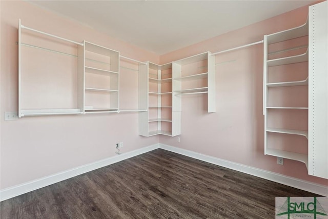 walk in closet featuring dark wood-type flooring