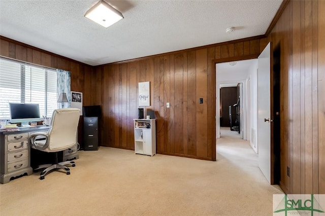 office area featuring a textured ceiling, crown molding, and light colored carpet