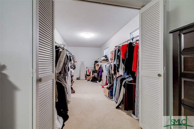 spacious closet with carpet floors