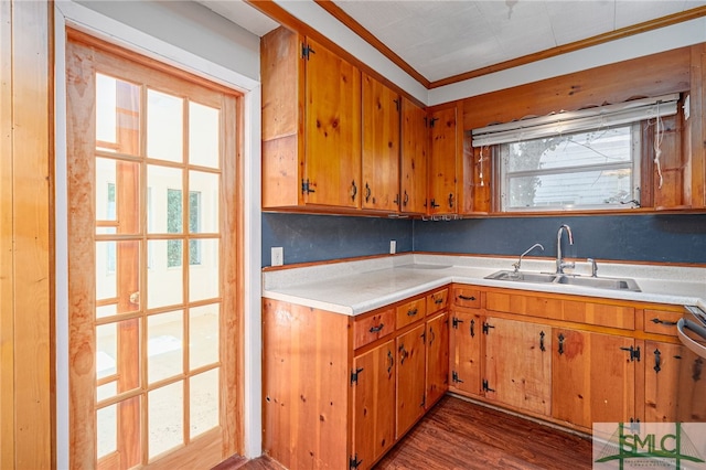 kitchen with dark wood-style flooring, brown cabinets, crown molding, light countertops, and a sink