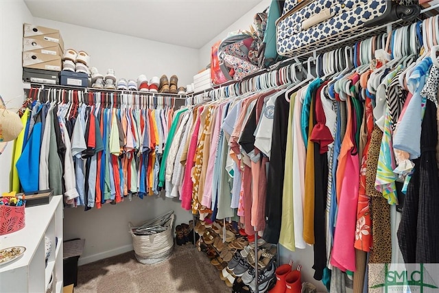 spacious closet featuring carpet floors