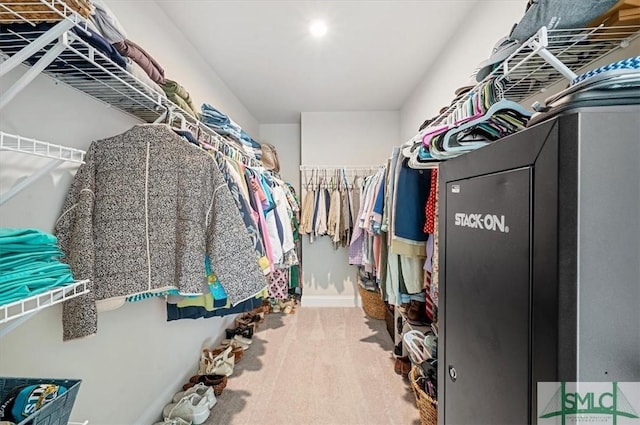 spacious closet with carpet