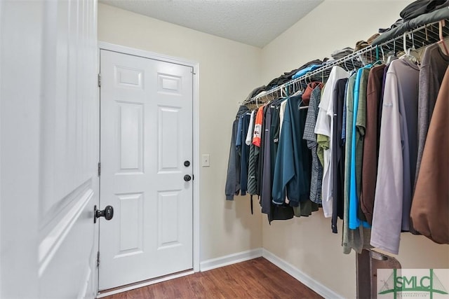 spacious closet with dark wood finished floors