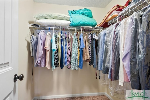 walk in closet featuring carpet floors