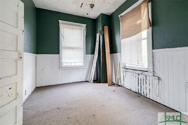 empty room featuring a wainscoted wall and carpet