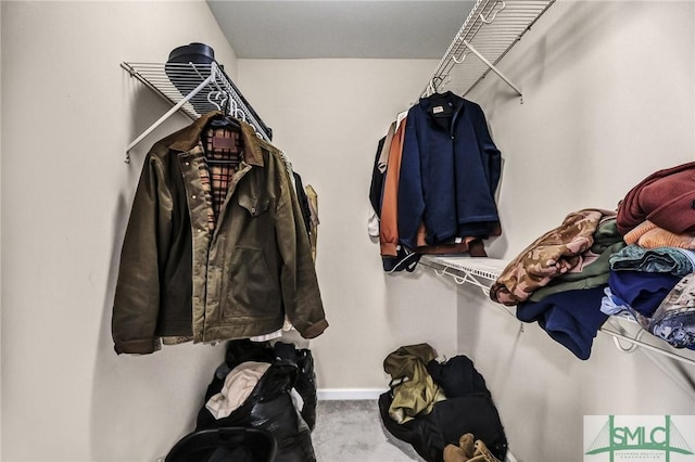 walk in closet featuring carpet floors