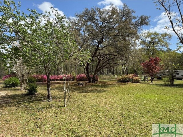 379 Riverside Dr, Guyton, GA 31312 - photo 3