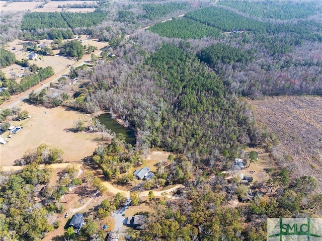 305 Satinwood Rd, Guyton, GA 31312 - photo 39