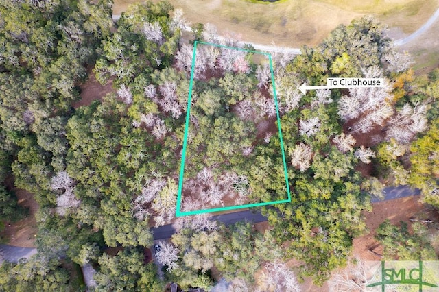 Listing photo 3 for LOT19 Sutherland Bluff Dr, Townsend GA 31331