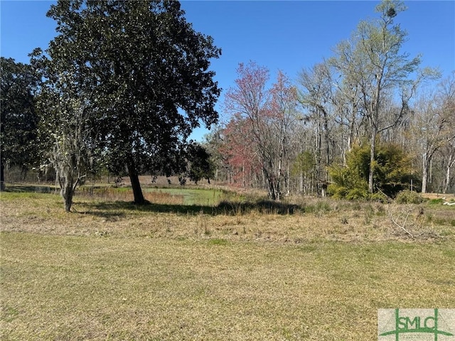 0 US Highway 17, Townsend GA, 31331 land for sale