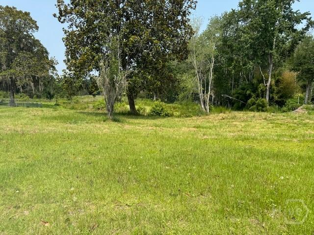 0 US Highway 17, Townsend, GA 31331 - photo 2