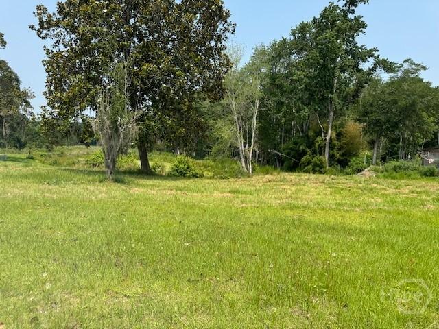 0 US Highway 17, Townsend, GA 31331 - photo 3