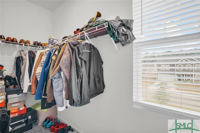 spacious closet featuring carpet flooring