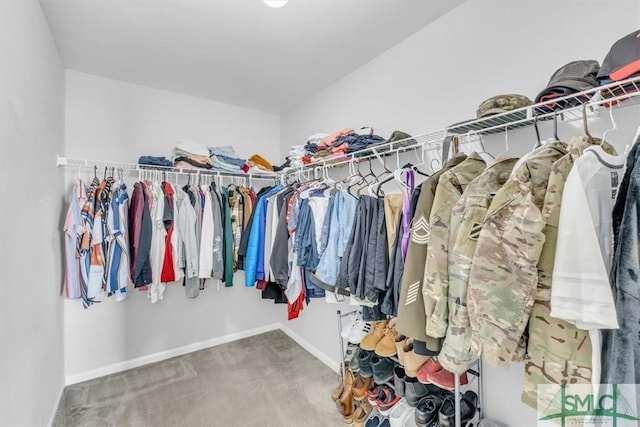 spacious closet featuring carpet