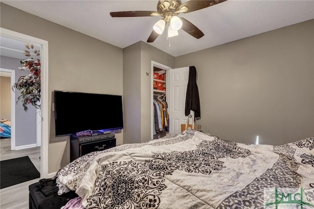 bedroom featuring a ceiling fan, a walk in closet, wood finished floors, and a closet