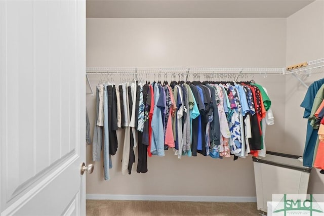 walk in closet with carpet