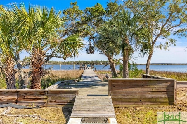 dock area with a water view