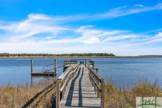 dock area with a water view