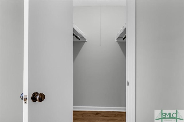 walk in closet featuring wood finished floors