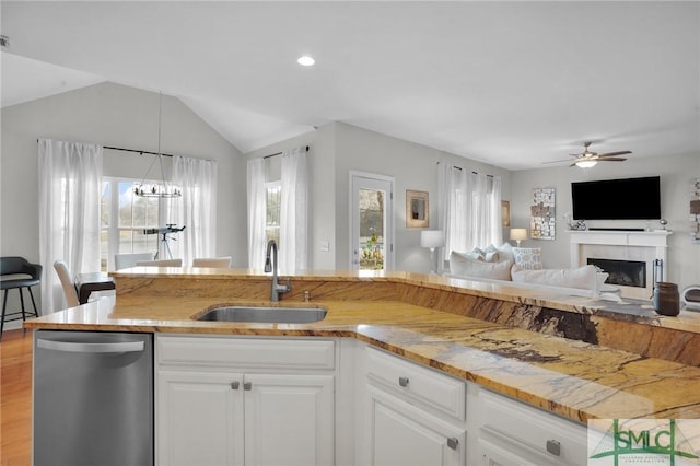 kitchen with a sink, a healthy amount of sunlight, a fireplace, and stainless steel dishwasher