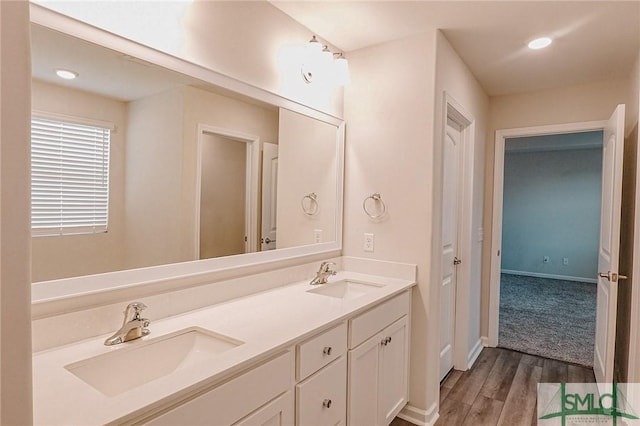 bathroom with a sink, baseboards, wood finished floors, and double vanity