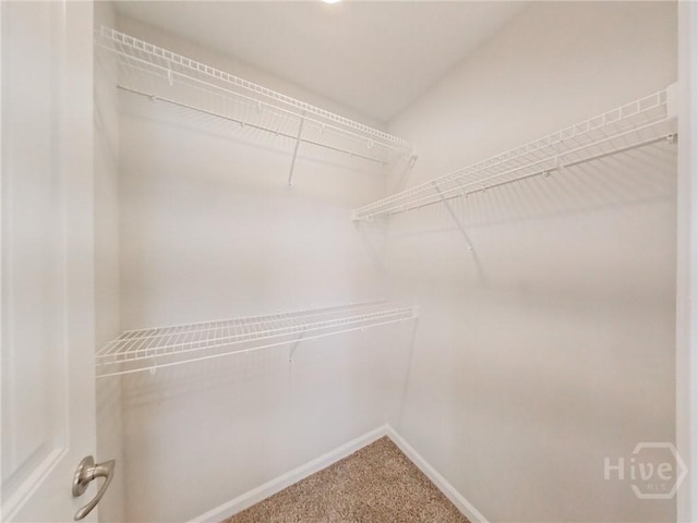 18 Allston Ln, Savannah, GA 31407 - walk in closet featuring carpet floors