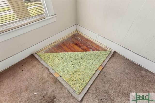 interior details featuring carpet flooring